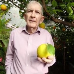 Man in pink dress shirt holding citrus fruit