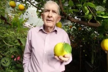 Man in pink dress shirt holding citrus fruit