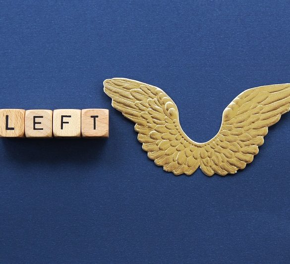 vanguardia liberal, liberal vanguard, left wing